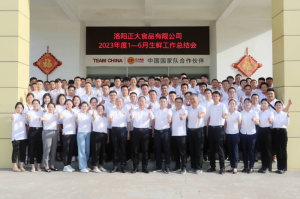總結過去，計劃未來，協(xié)同創(chuàng)新，再創(chuàng)佳績！洛陽正大舉行2023年上半年工作總結會議